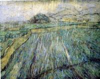 Gogh, Vincent van - Enclosed Field in the Rain
